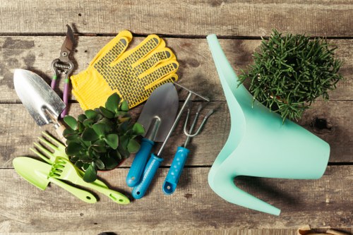 Seasonal lawn mowing for a tidy Berrylands home garden