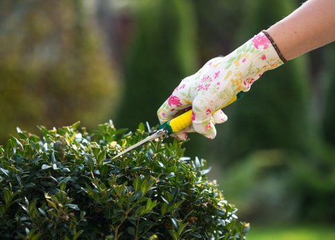 Family-friendly landscape gardening in Berrylands with seating and lawn