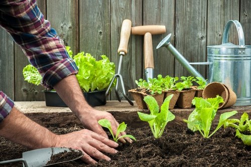 Gardeners Berrylands safety policy introduction