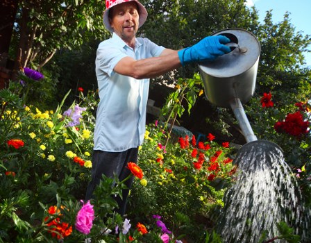Moss and algae removal during patio cleaning in Berrylands