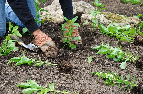 Professional garden clearance in Berrylands removing bulky outdoor waste