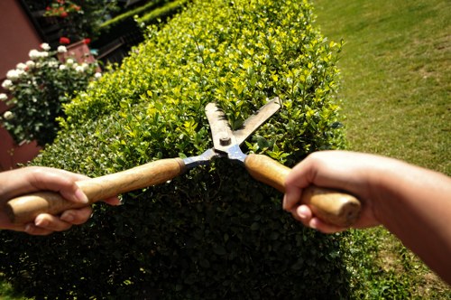 Outdoor paving maintenance and patio cleaning in Berrylands