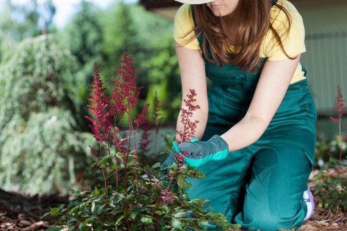 Cancellation and liability clauses for garden maintenance work