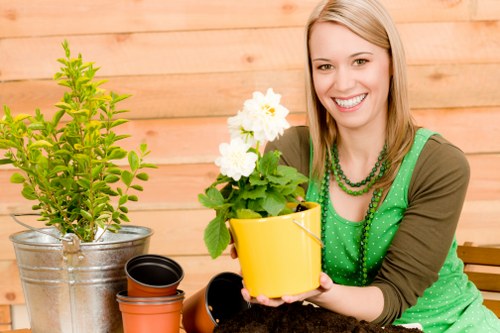 Outdoor landscaping in Berrylands with paths, shrubs, and lawn areas