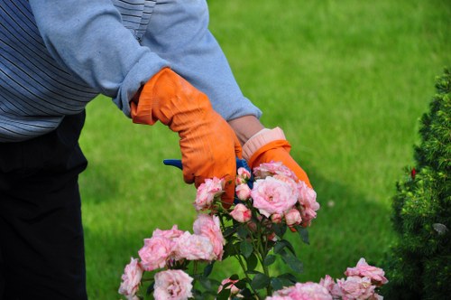 Seasonal garden maintenance in Berrylands with healthy plants