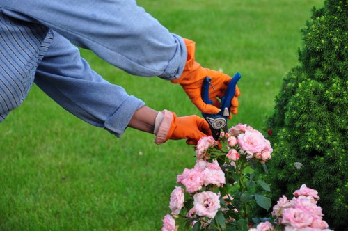 Seasonal garden care and planting in Berrylands