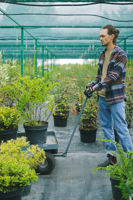 A man with long hair tied back, wearing a checked shirt, beige T-shirt, and blue jeans, is operating a small electric lawn mower or garden trimmer inside a greenhouse or nursery. He is standing on a p