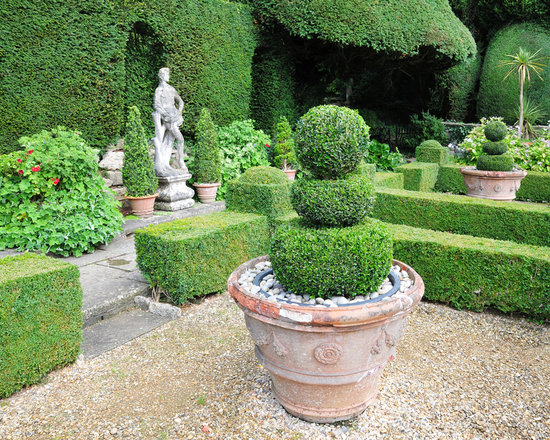Garden lawn